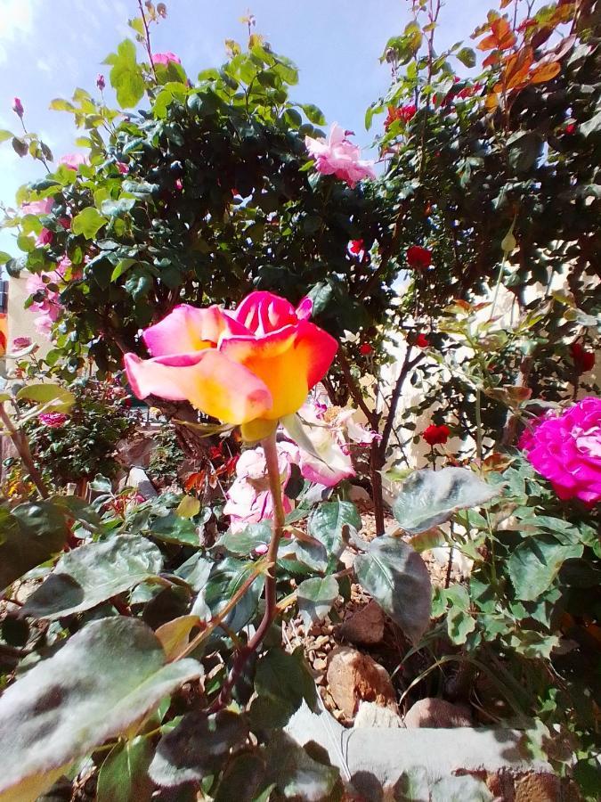 Las/Rosas Orgaz エクステリア 写真